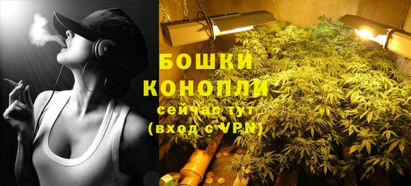 ешки Горняк