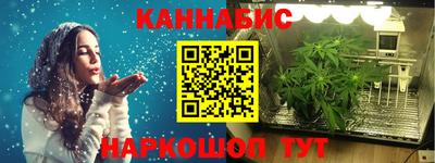 СК Новозыбков