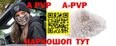 СК Новозыбков