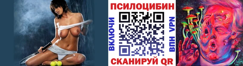 Галлюциногенные грибы прущие грибы  Мончегорск 